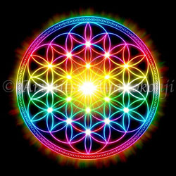 Flower of Life 0