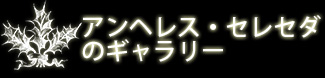 アンヘルス・セレセダのギャラリー 